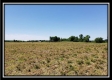 Tract 2 at Darby Farm at Scottslawn property photo