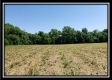 Tract 2 at Darby Farm at Scottslawn property photo