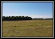 Tract 2 at Darby Farm at Scottslawn property photo