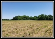 More of Tract 2 at Darby Farm at Scottslawn