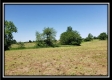 Tract 2 at Darby Farm at Scottslawn property photo