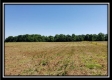 Tract 2 at Darby Farm at Scottslawn property photo