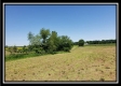 Tract 2 at Darby Farm at Scottslawn property photo
