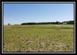 Tract 4 at Darby Farm at Scottslawn  property photo