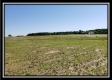Tract 4 at Darby Farm at Scottslawn  property photo