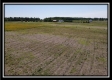Tract 4 at Darby Farm at Scottslawn  property photo