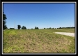 More of Tract 4 at Darby Farm at Scottslawn 
