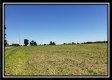 Tract 4 at Darby Farm at Scottslawn  property photo