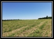 Tract 6 - Darby Farm at Scottslawn property photo