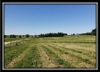 Tract 6 - Darby Farm at Scottslawn property photo