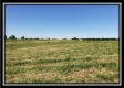 Tract 6 - Darby Farm at Scottslawn property photo