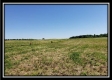 More of Tract 6 - Darby Farm at Scottslawn