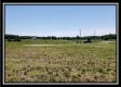 More of Tract 6 - Darby Farm at Scottslawn