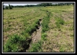 Tract 6 - Darby Farm at Scottslawn property photo