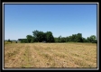 Tract 8 - Darby Farm at Scottslawn  property photo