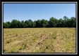 Tract 8 - Darby Farm at Scottslawn  property photo