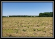 Tract 8 - Darby Farm at Scottslawn  property photo