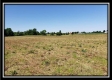 Tract 8 - Darby Farm at Scottslawn  property photo