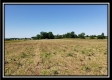 Tract 8 - Darby Farm at Scottslawn  property photo