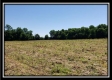 Tract 8 - Darby Farm at Scottslawn  property photo