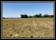 Tract 8 - Darby Farm at Scottslawn  property photo