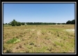 More of Tract 8 - Darby Farm at Scottslawn 