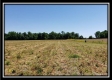 More of Tract 8 - Darby Farm at Scottslawn 