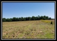 More of Tract 8 - Darby Farm at Scottslawn 