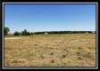 Tract 8 - Darby Farm at Scottslawn  property photo
