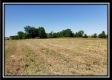 Tract 8 - Darby Farm at Scottslawn  property photo