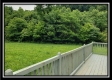 Creekside Cottage property photo
