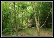 Creekside Cottage property photo