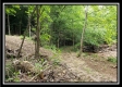 Creekside Cottage property photo