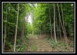 Creekside Cottage property photo