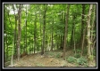 Creekside Cottage property photo