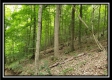 Creekside Cottage property photo
