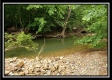 More of Creekside Cottage