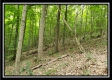 Creekside Cottage property photo