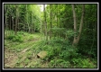 Creekside Cottage property photo