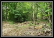 Creekside Cottage property photo