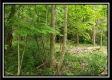 Creekside Cottage property photo