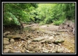 Creekside Cottage property photo