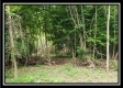 Creekside Cottage property photo