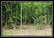 Creekside Cottage property photo
