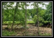 Creekside Cottage property photo