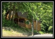 More of The Cabin at Sunfish Creek