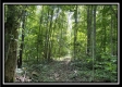 The Cabin at Sunfish Creek property photo