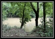 More of The Cabin at Sunfish Creek
