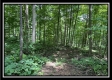The Cabin at Sunfish Creek property photo