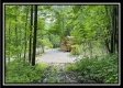 The Cabin at Sunfish Creek property photo